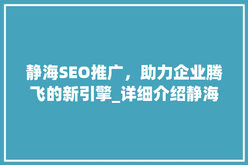 静海SEO推广，助力企业腾飞的新引擎_详细介绍静海地区专业咨询电话优势