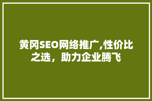 黄冈SEO网络推广,性价比之选，助力企业腾飞