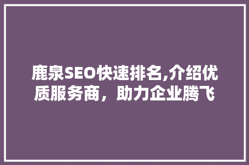 鹿泉SEO快速排名,介绍优质服务商，助力企业腾飞