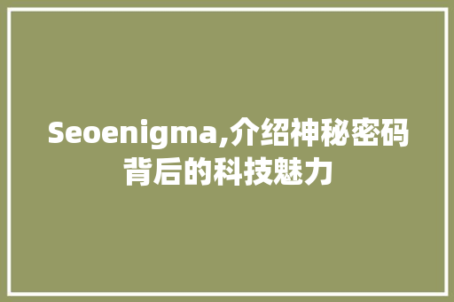 Seoenigma,介绍神秘密码背后的科技魅力