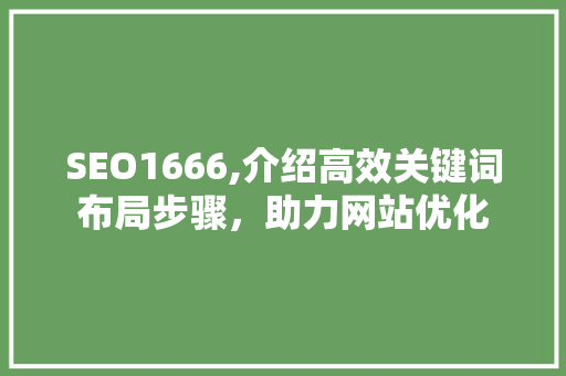 SEO1666,介绍高效关键词布局步骤，助力网站优化