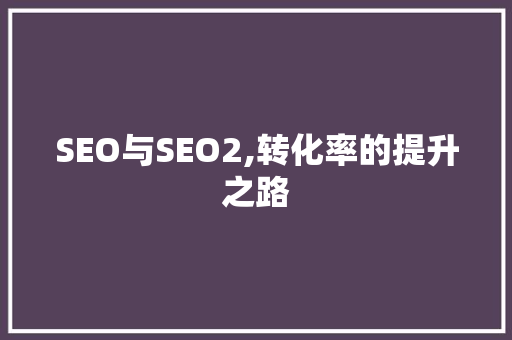 SEO与SEO2,转化率的提升之路