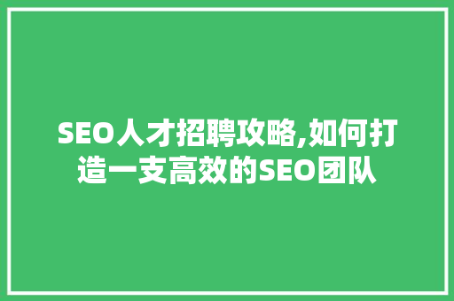 SEO人才招聘攻略,如何打造一支高效的SEO团队