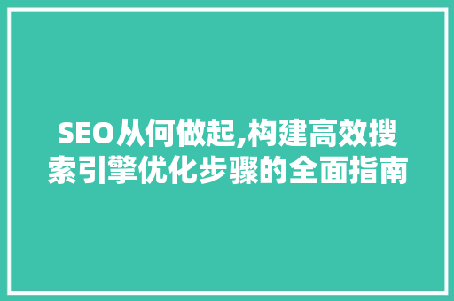 SEO从何做起,构建高效搜索引擎优化步骤的全面指南