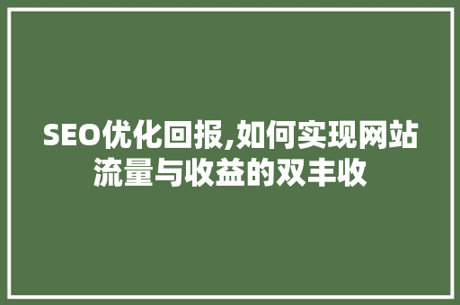 SEO优化回报,如何实现网站流量与收益的双丰收