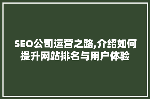 SEO公司运营之路,介绍如何提升网站排名与用户体验