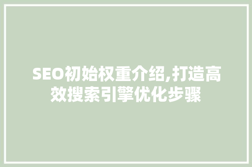 SEO初始权重介绍,打造高效搜索引擎优化步骤