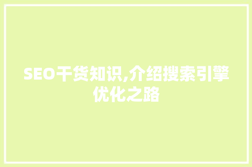 SEO干货知识,介绍搜索引擎优化之路