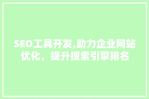 SEO工具开发,助力企业网站优化，提升搜索引擎排名