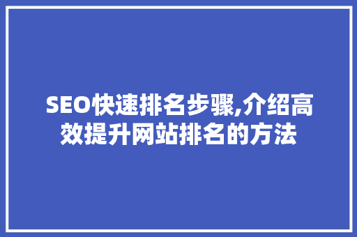 SEO快速排名步骤,介绍高效提升网站排名的方法