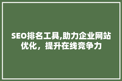 SEO排名工具,助力企业网站优化，提升在线竞争力