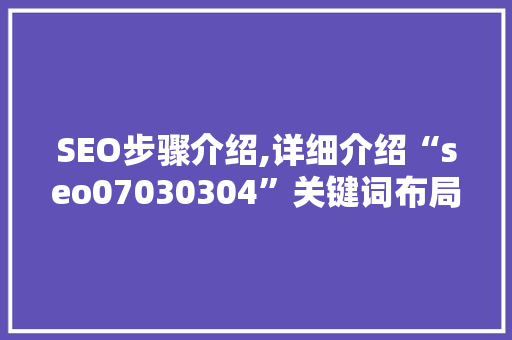 SEO步骤介绍,详细介绍“seo07030304”关键词布局的艺术