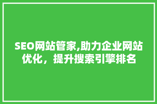 SEO网站管家,助力企业网站优化，提升搜索引擎排名