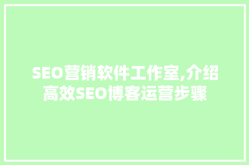 SEO营销软件工作室,介绍高效SEO博客运营步骤