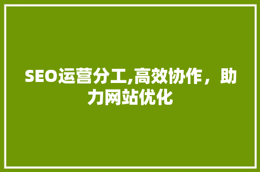 SEO运营分工,高效协作，助力网站优化
