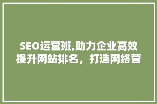 SEO运营班,助力企业高效提升网站排名，打造网络营销新格局