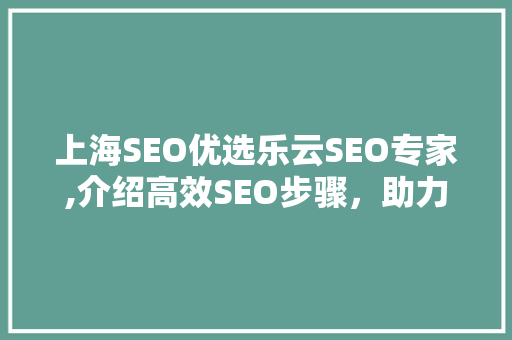 上海SEO优选乐云SEO专家,介绍高效SEO步骤，助力企业网络营销腾飞