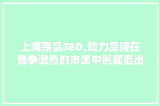 上海新品SEO,助力品牌在竞争激烈的市场中脱颖而出