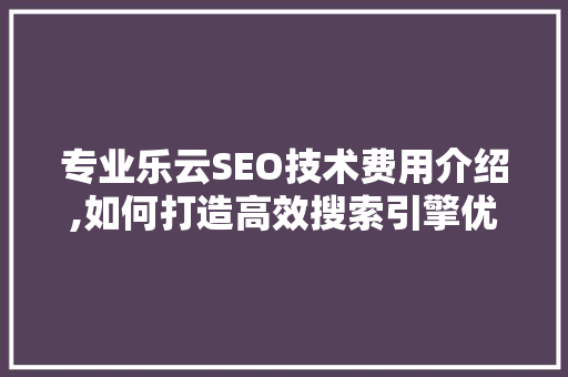 专业乐云SEO技术费用介绍,如何打造高效搜索引擎优化步骤