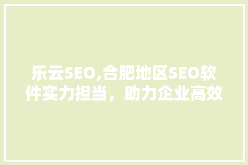 乐云SEO,合肥地区SEO软件实力担当，助力企业高效优化