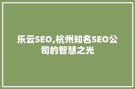 乐云SEO,杭州知名SEO公司的智慧之光