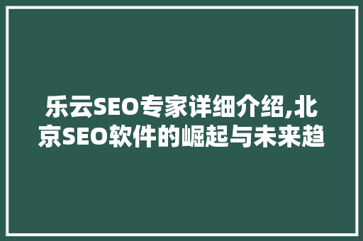 乐云SEO专家详细介绍,北京SEO软件的崛起与未来趋势