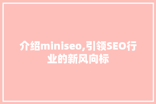 介绍miniseo,引领SEO行业的新风向标