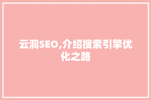 云洞SEO,介绍搜索引擎优化之路