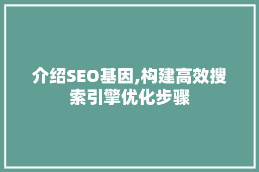 介绍SEO基因,构建高效搜索引擎优化步骤