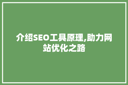 介绍SEO工具原理,助力网站优化之路