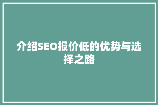 介绍SEO报价低的优势与选择之路