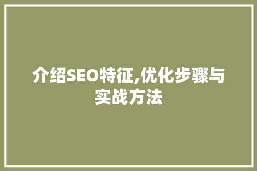 介绍SEO特征,优化步骤与实战方法