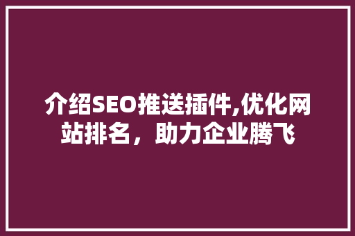 介绍SEO推送插件,优化网站排名，助力企业腾飞