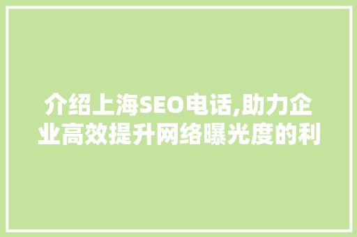 介绍上海SEO电话,助力企业高效提升网络曝光度的利器