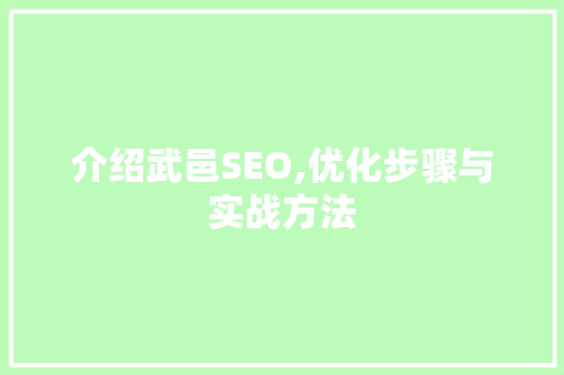 介绍武邑SEO,优化步骤与实战方法