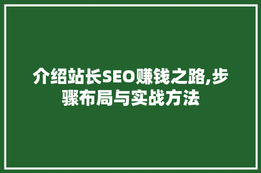 介绍站长SEO赚钱之路,步骤布局与实战方法