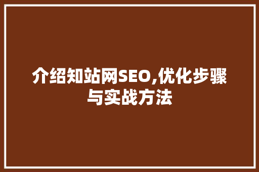介绍知站网SEO,优化步骤与实战方法