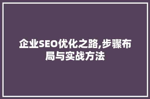 企业SEO优化之路,步骤布局与实战方法