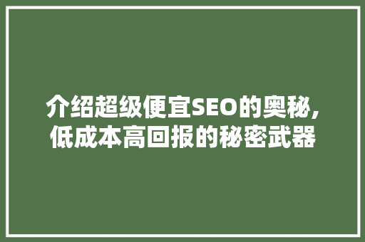 介绍超级便宜SEO的奥秘,低成本高回报的秘密武器