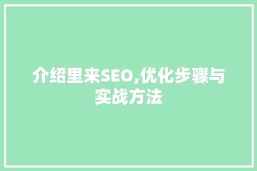 介绍里来SEO,优化步骤与实战方法