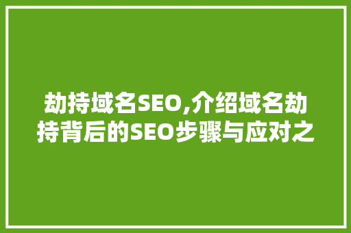 劫持域名SEO,介绍域名劫持背后的SEO步骤与应对之路
