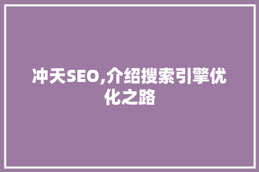 冲天SEO,介绍搜索引擎优化之路
