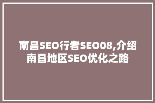 南昌SEO行者SEO08,介绍南昌地区SEO优化之路