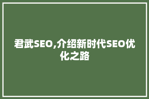 君武SEO,介绍新时代SEO优化之路