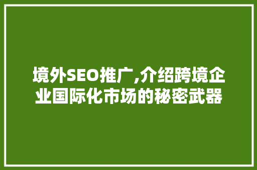 境外SEO推广,介绍跨境企业国际化市场的秘密武器