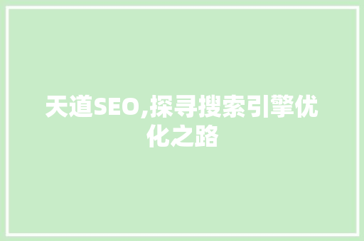 天道SEO,探寻搜索引擎优化之路