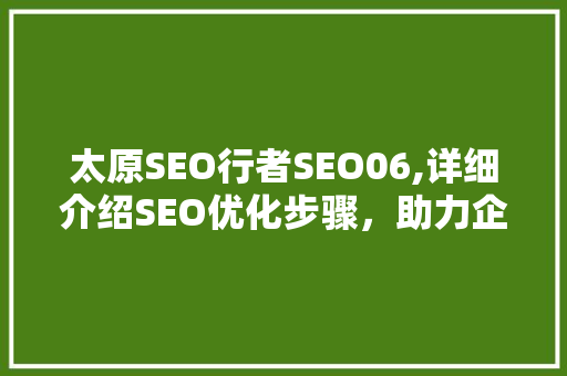 太原SEO行者SEO06,详细介绍SEO优化步骤，助力企业腾飞