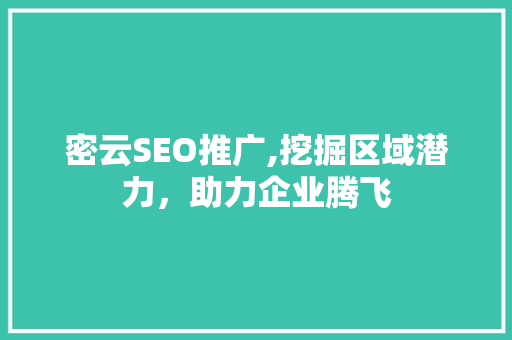 密云SEO推广,挖掘区域潜力，助力企业腾飞