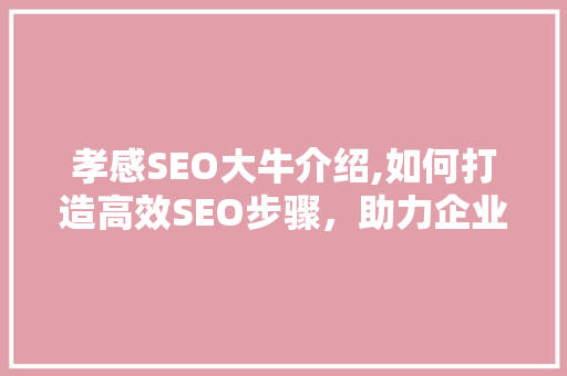 孝感SEO大牛介绍,如何打造高效SEO步骤，助力企业腾飞