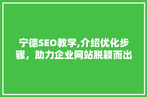 宁德SEO教学,介绍优化步骤，助力企业网站脱颖而出